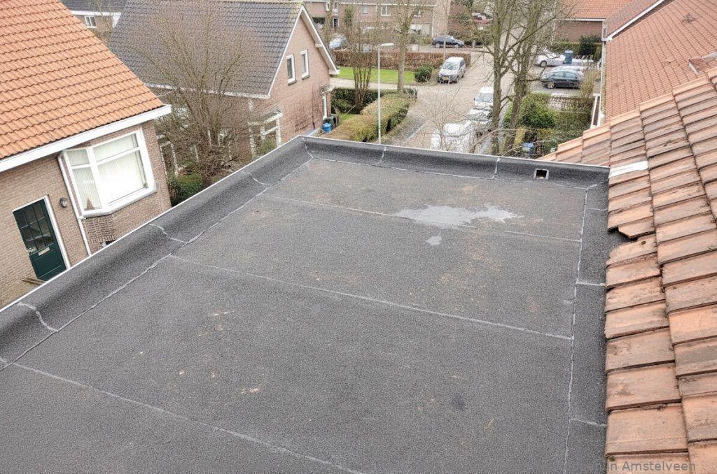 Dakdekker In Najaar Amstelveen