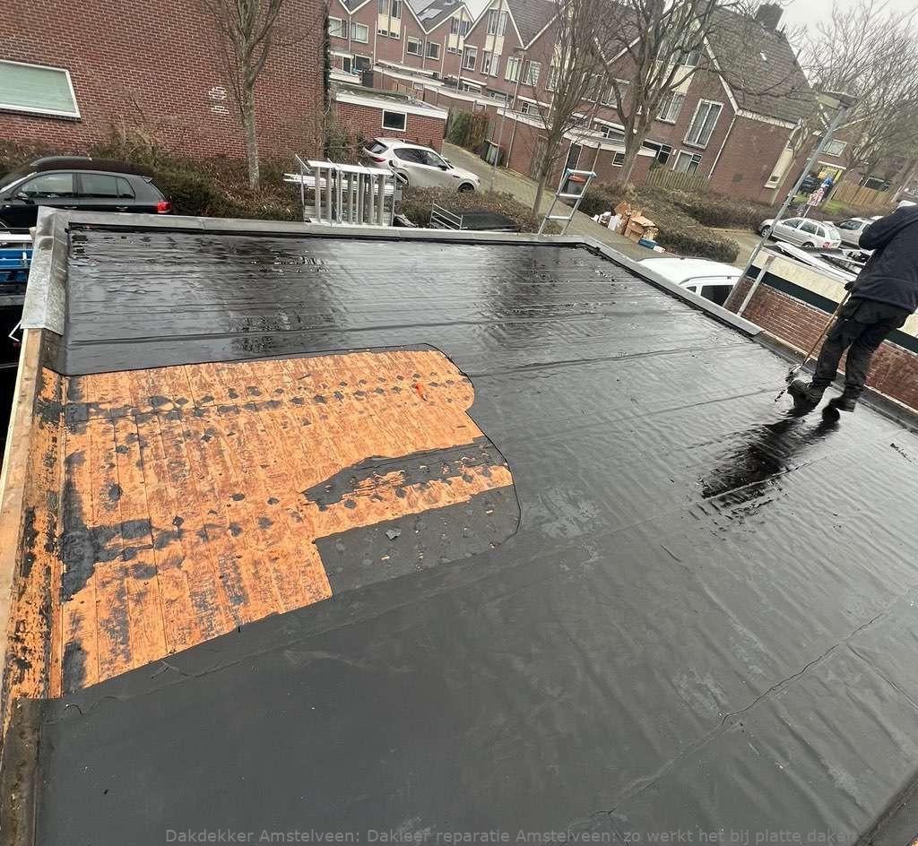 Dakleer Reparatie Amstelveen