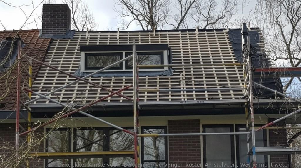 Dakpannen Vervangen Kosten Amstelveen