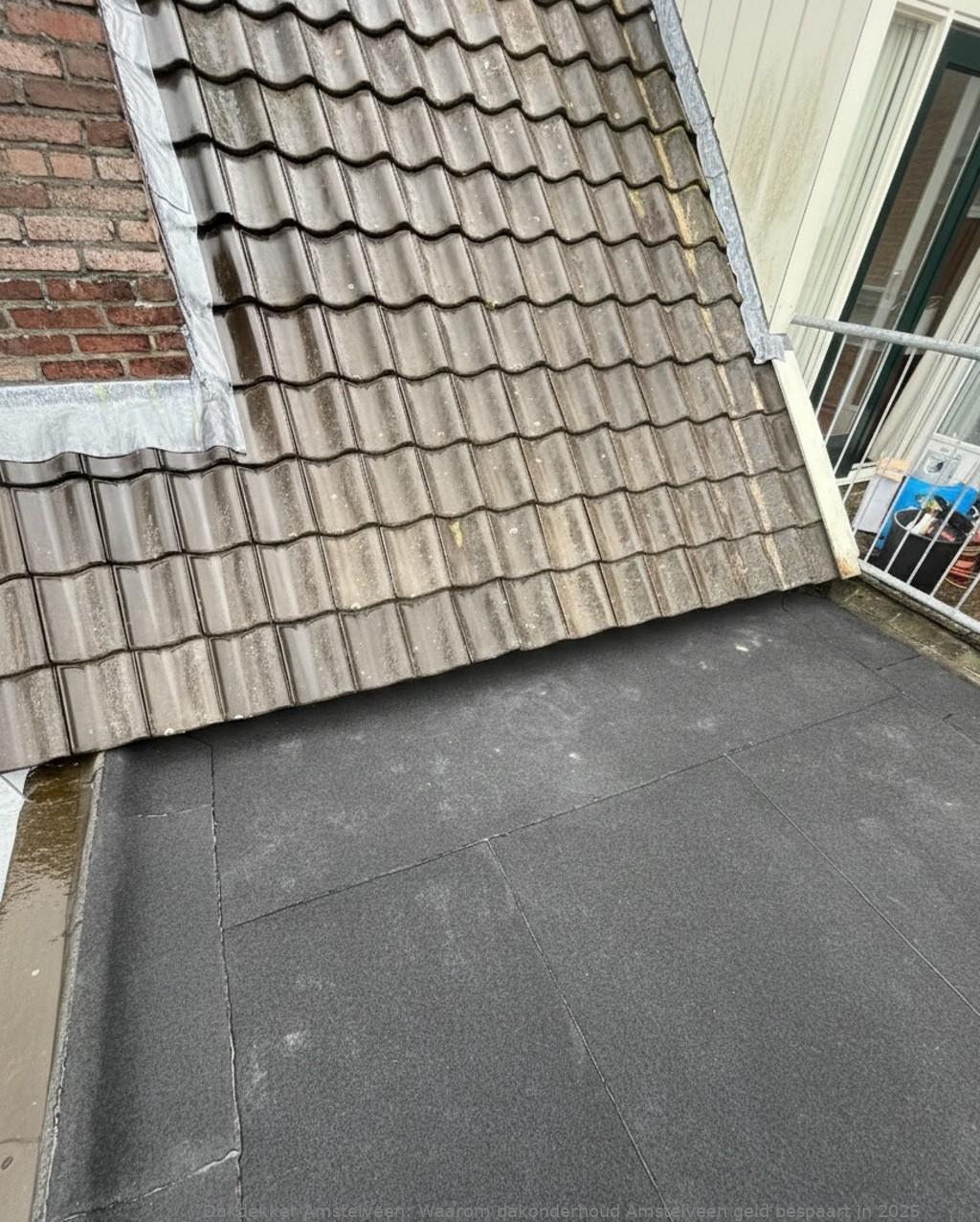 Onderhoud Dak Amstelveen 1